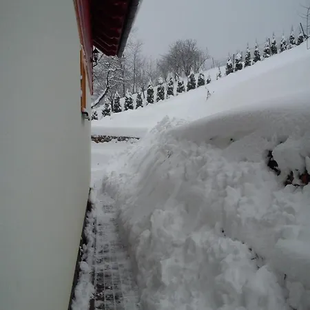 Chata Goralka Orman Evi *